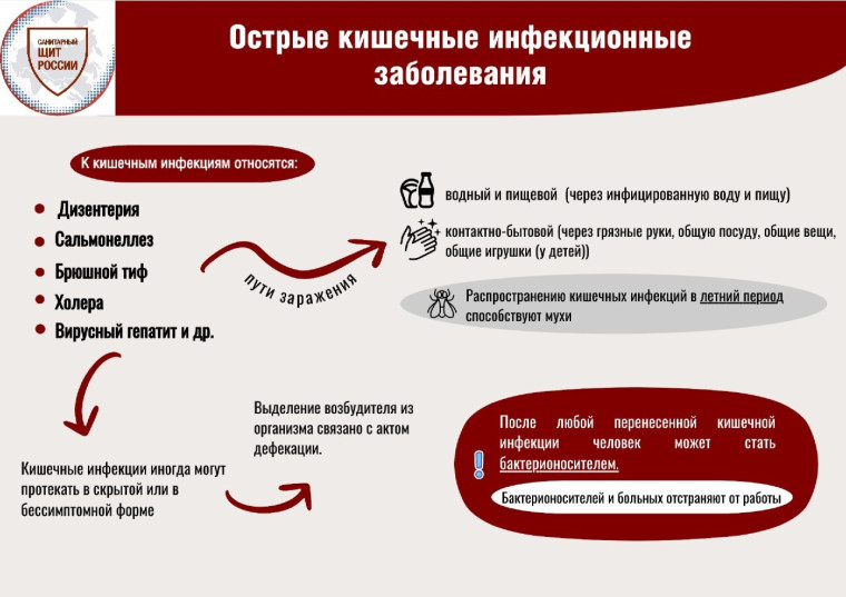 Просветительский материал.